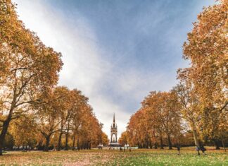 Grand Royale London Hyde Park: Discover Luxury and Hidden Gems