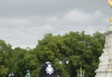 City Of London Police: Uncover The Secrets Behind Their Success