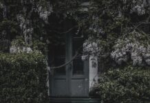 Wood Green London: Discover Hidden Gems and Local Secrets Today