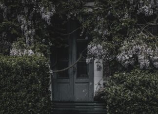 Wood Green London: Discover Hidden Gems and Local Secrets Today