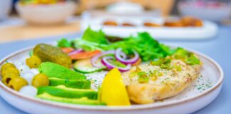 Darwin London Restaurant Secrets: Why Food Lovers Can’t Resist