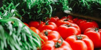 Putney Greater London: Discover Hidden Gems and Local Treasures