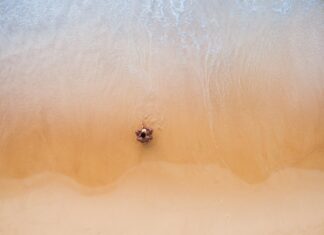 Flights To Thailand From London: Discover Your Dream Escape Today