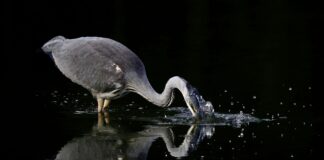 Sunset Today London: Discover The Most Breathtaking Views