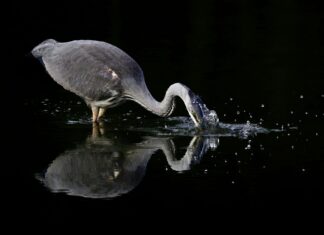 Sunset Today London: Discover The Most Breathtaking Views