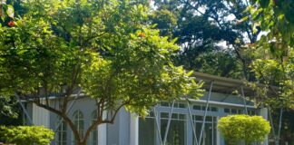 Stockwell London: Discover Hidden Gems and Local Secrets Today