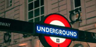 Pitbull London: Discover The Ultimate Guide To This Iconic Breed