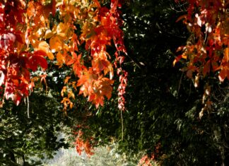 London To Nottingham: Discover Hidden Gems Along The Journey