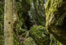 Forest Gate London: Discover Hidden Gems and Local Secrets